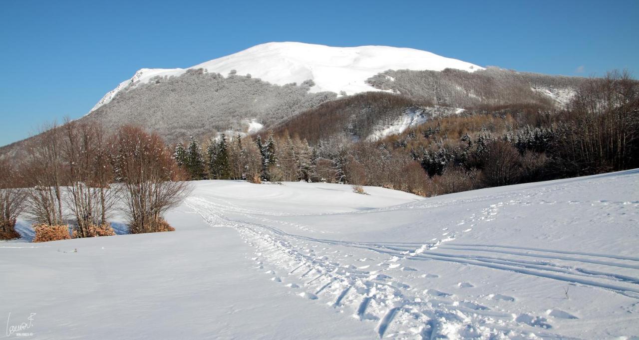 Antica Locanda Bonfiglio Busana المظهر الخارجي الصورة