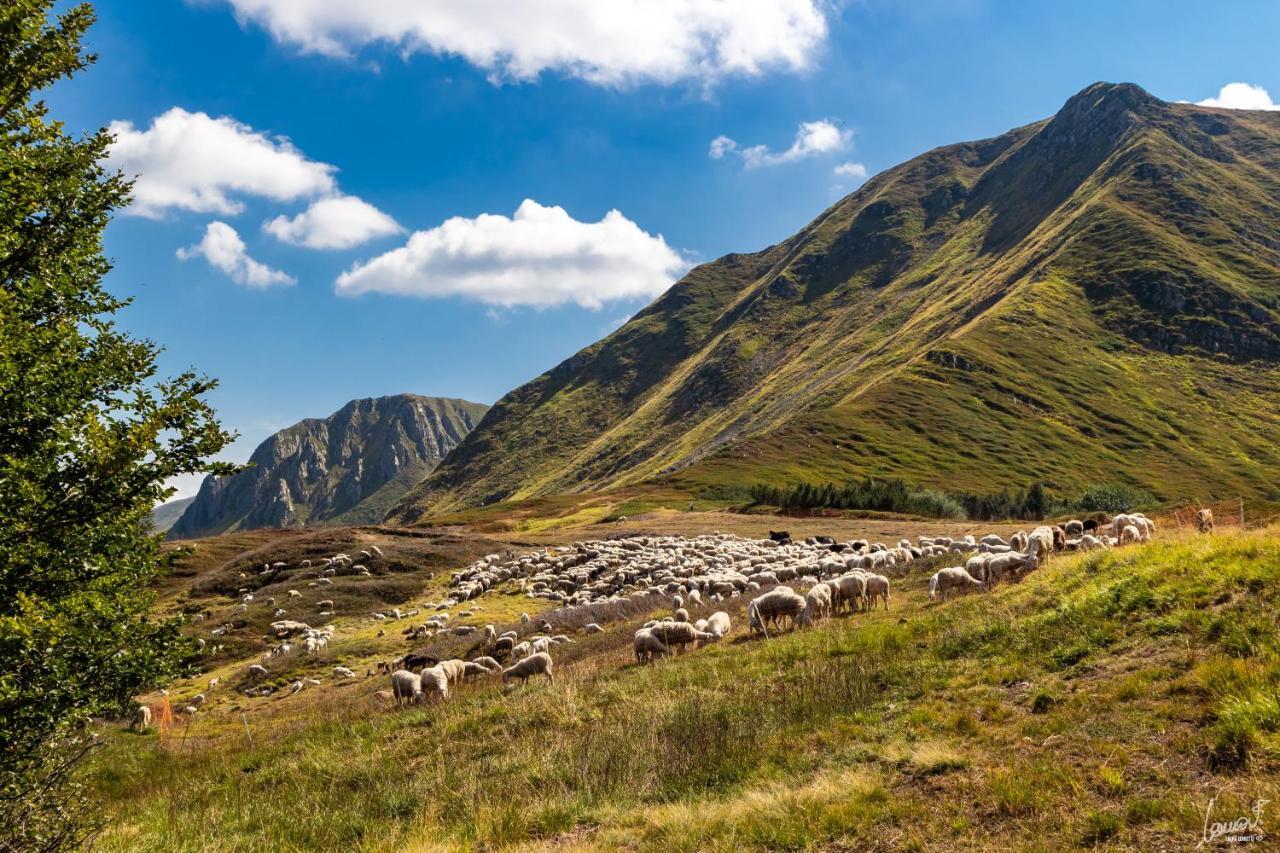 Antica Locanda Bonfiglio Busana المظهر الخارجي الصورة